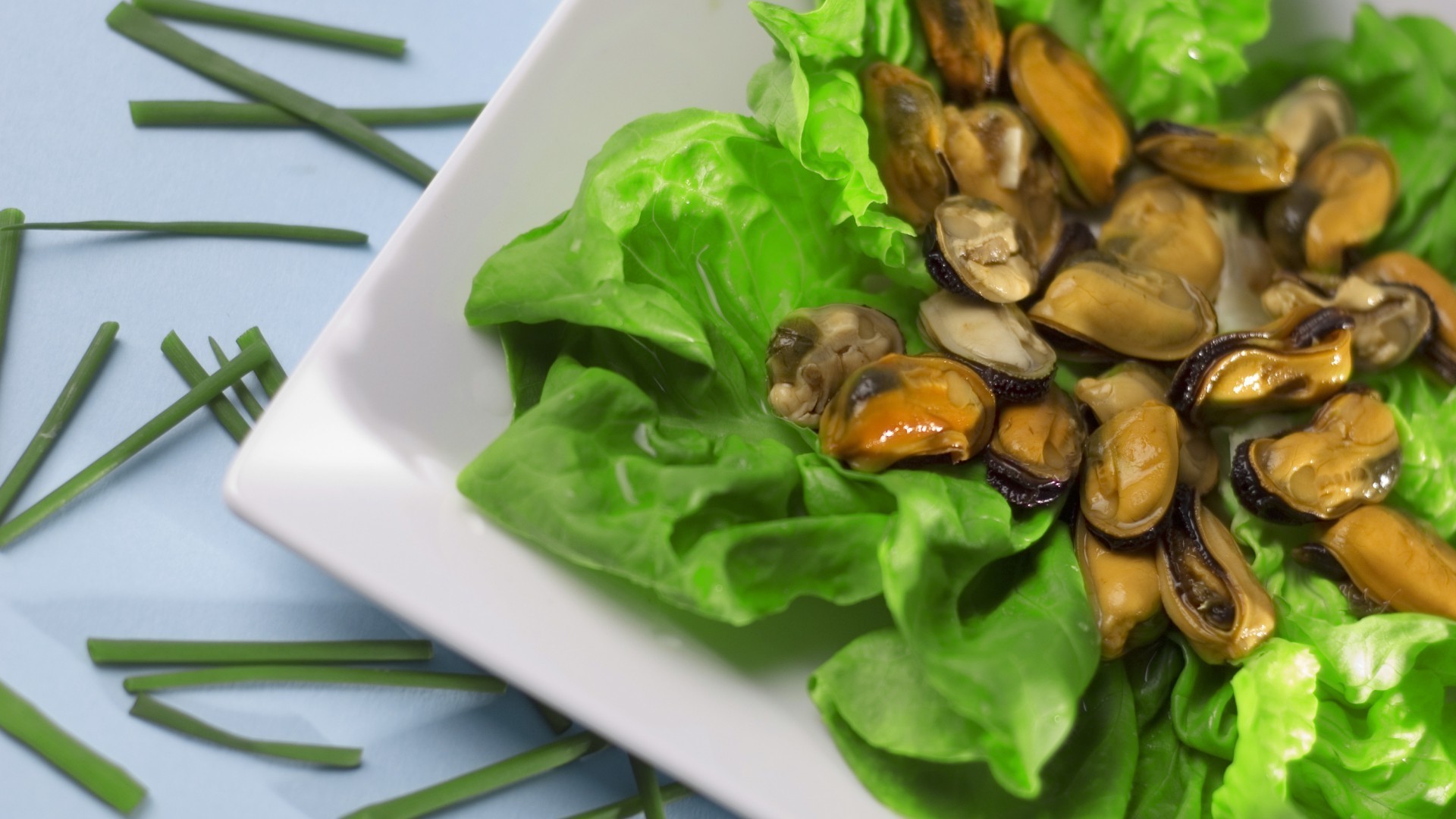 comida saludable vegetal comida cocina hoja cocina salud dieta ensalada comida cena primer plano plato almuerzo delicioso epicuro escritorio delicioso