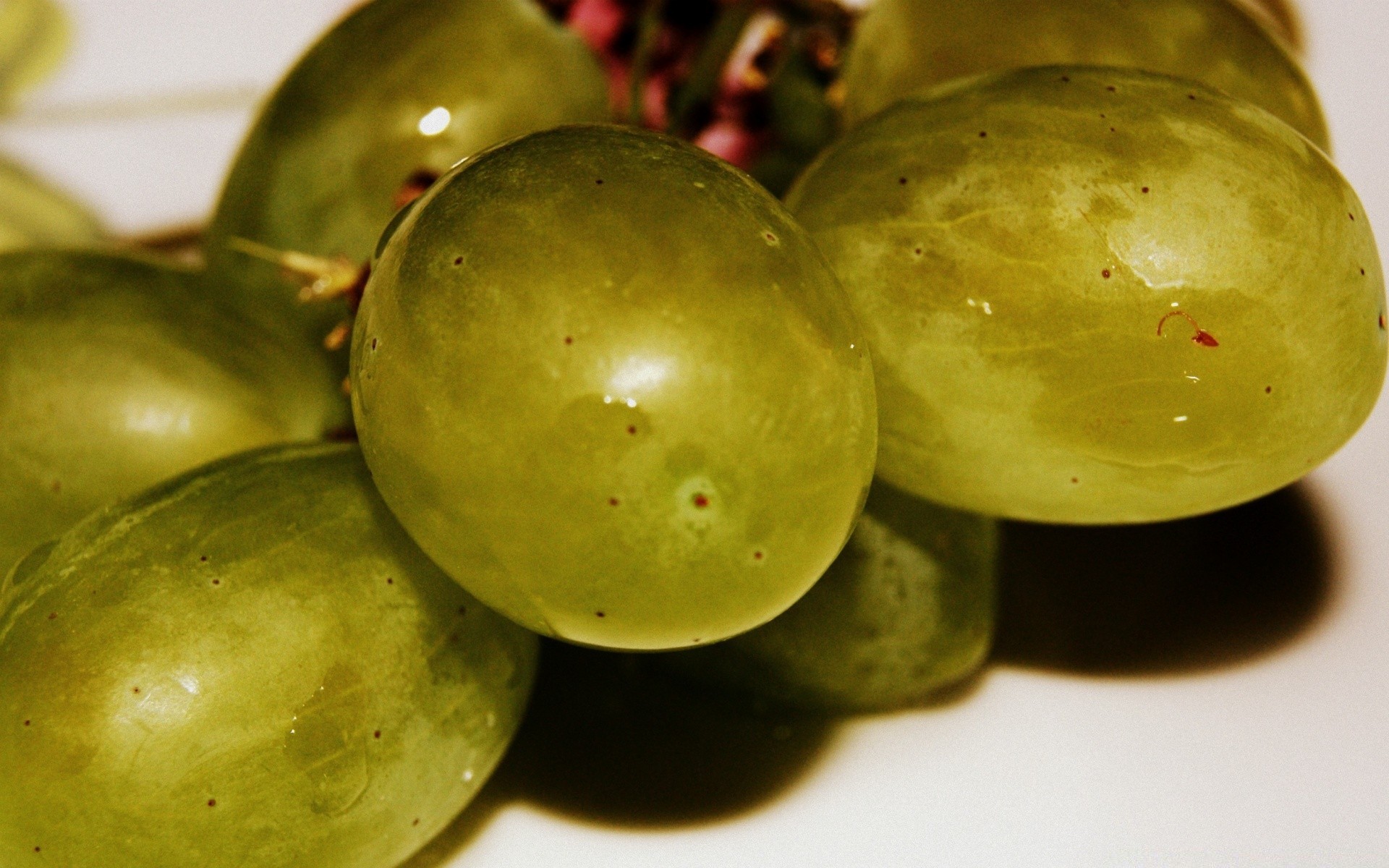 macro fotografía comida fruta crecer otoño pasto naturaleza muerta nutrición salud vino jugoso vid ingredientes agricultura delicioso hoja naturaleza uvas