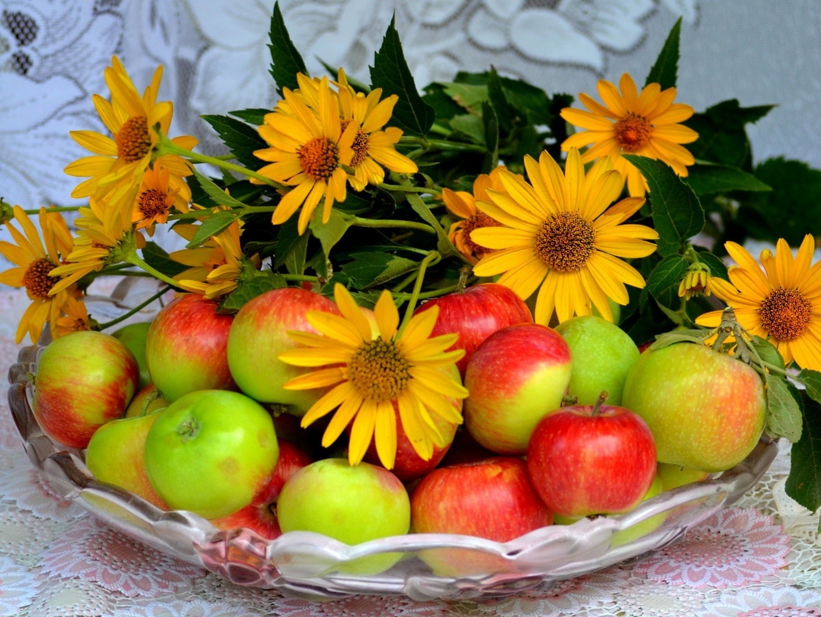 alimentos y bebidas hoja fruta manzana naturaleza otoño comida verano brillante jardín