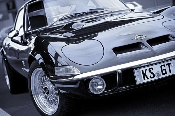 Opel negro como un depredador
