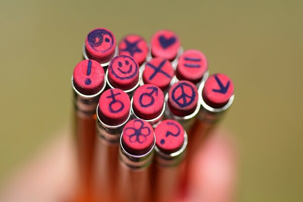 Estuche para lápices simples