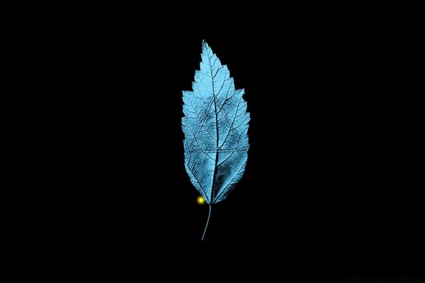 Fringe TV serie hoja con triángulo isósceles incorporado