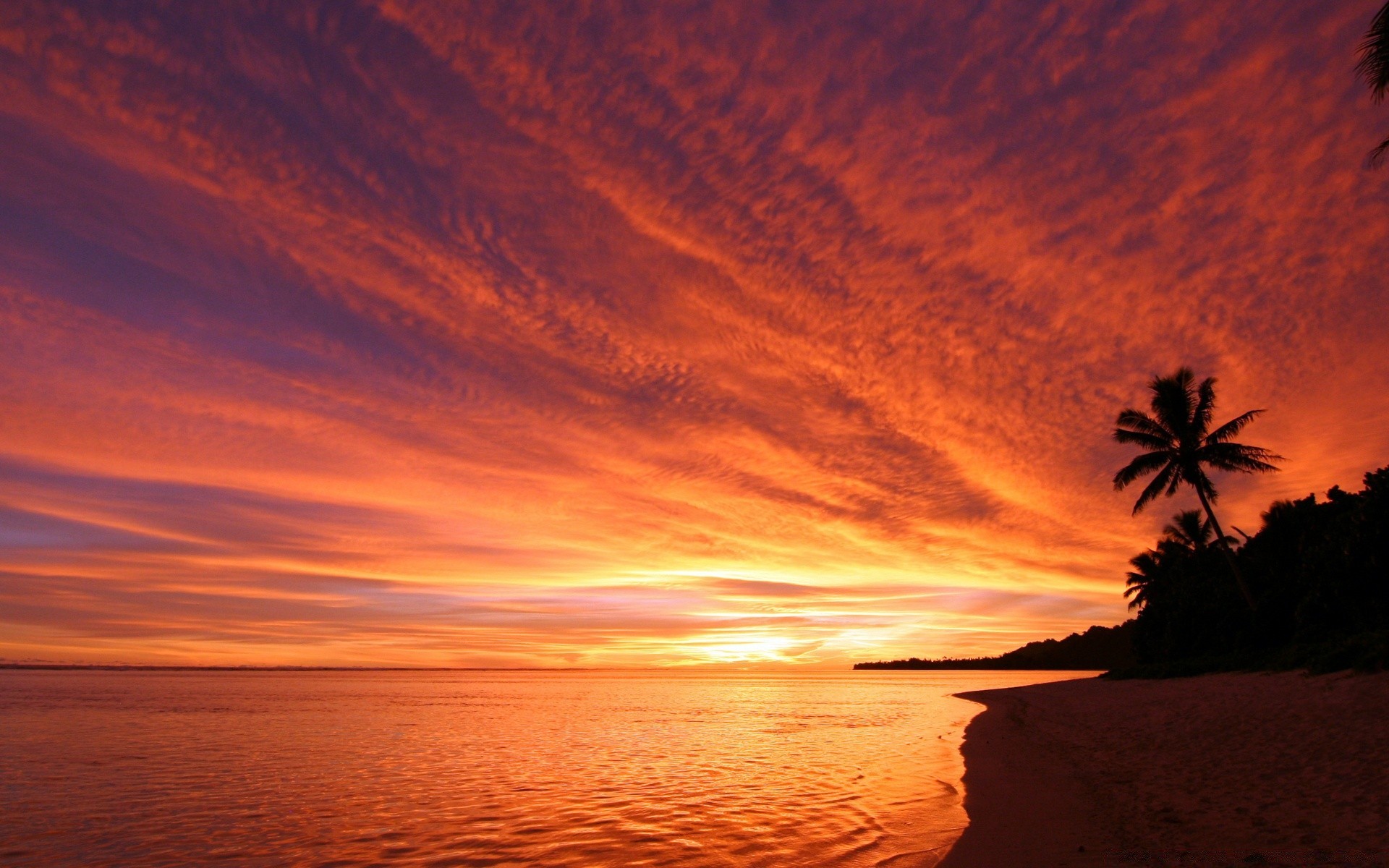 mar y océano puesta de sol noche amanecer anochecer luz de fondo agua playa sol océano silueta mar cielo mar paisaje