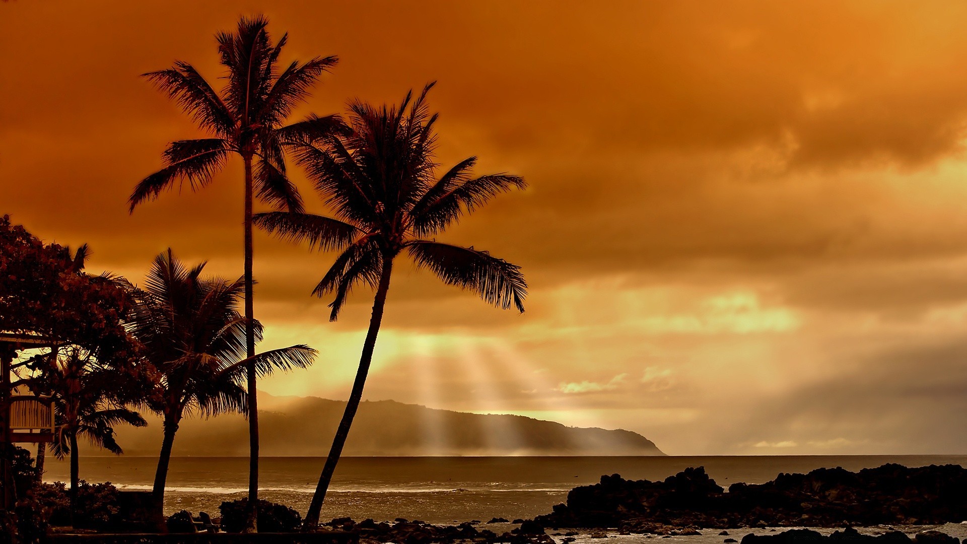 mar y océano playa sol puesta de sol tropical océano paisaje mar arena agua isla amanecer exótico palmas verano mar idilio cielo coco buen tiempo