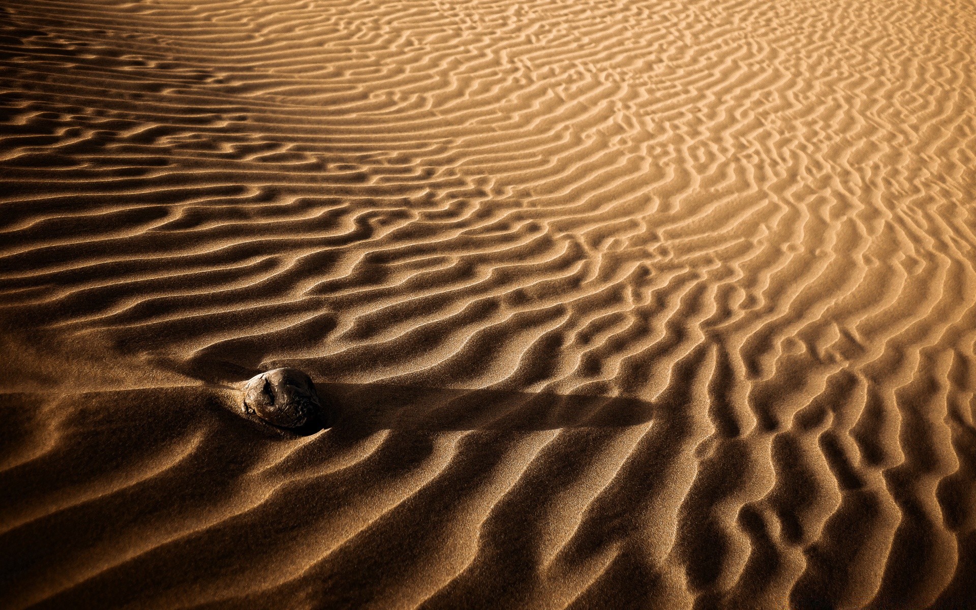 desierto arena playa estéril sendero solo duna textura mar ola arid ondulación patrón seco escritorio sombra