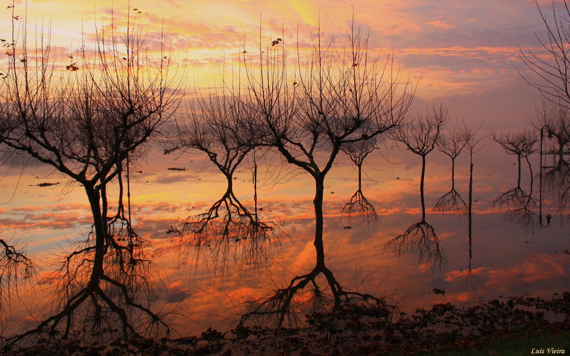 lago puesta de sol amanecer paisaje árbol naturaleza noche crepúsculo silueta cielo sol medio ambiente agua al aire libre otoño madera tiempo