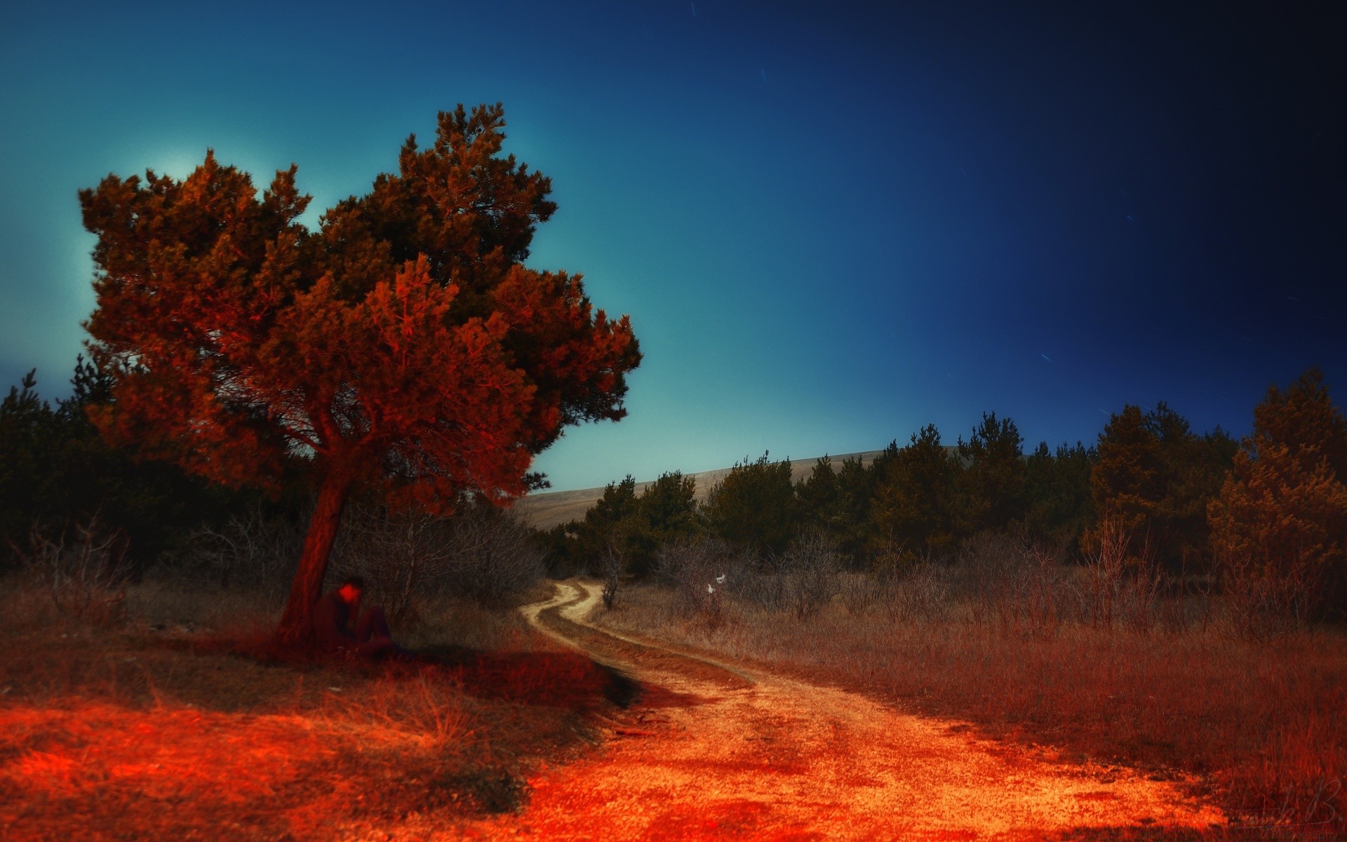 paisaje árbol paisaje al aire libre amanecer otoño puesta de sol noche escénico