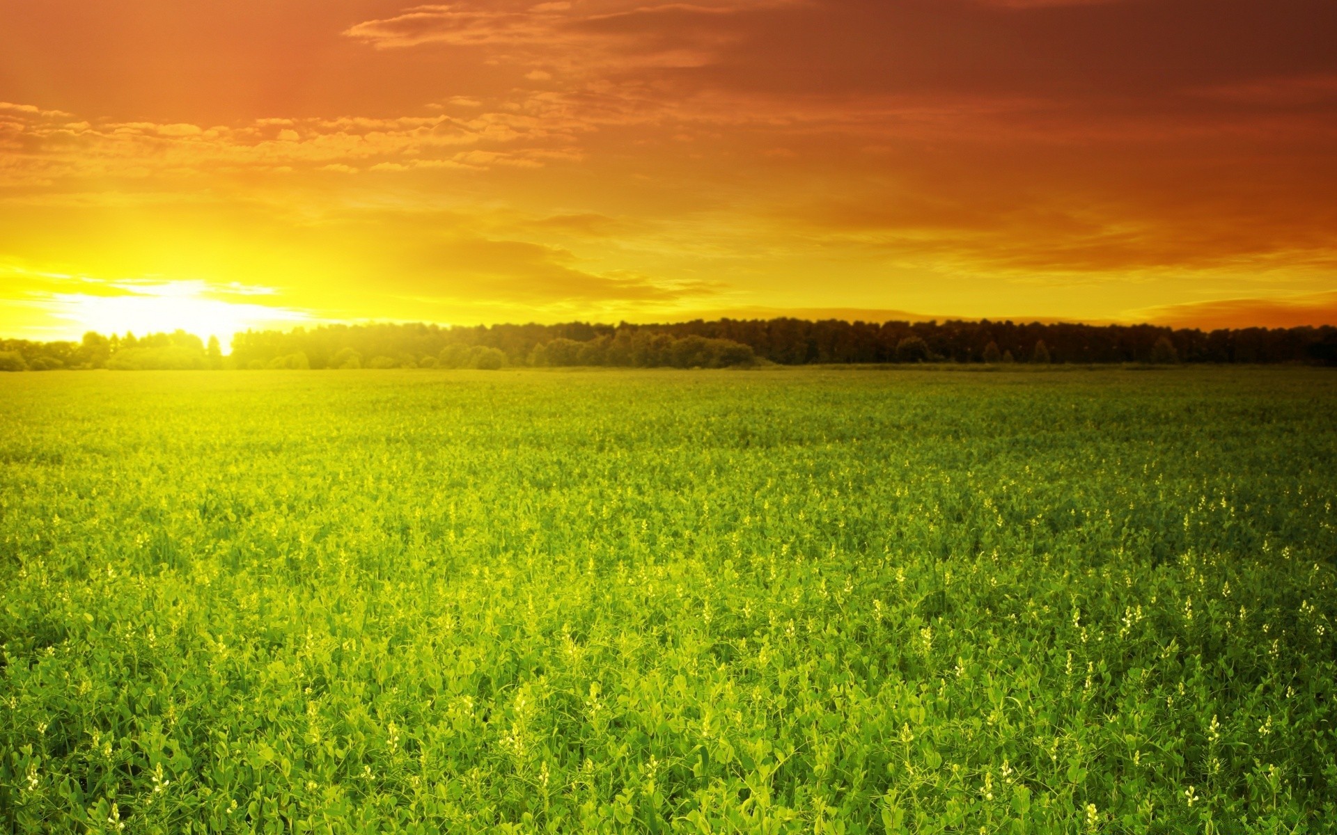 paisaje campo rural naturaleza paisaje agricultura sol campo verano buen tiempo cielo hierba amanecer granja heno al aire libre brillante flora pasto medio ambiente
