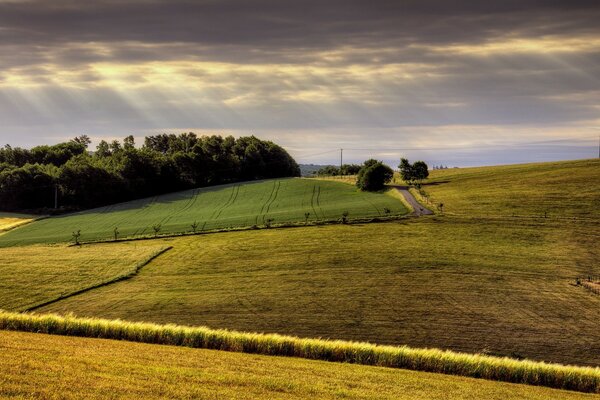 Campos agrícolas y tierras de cultivo