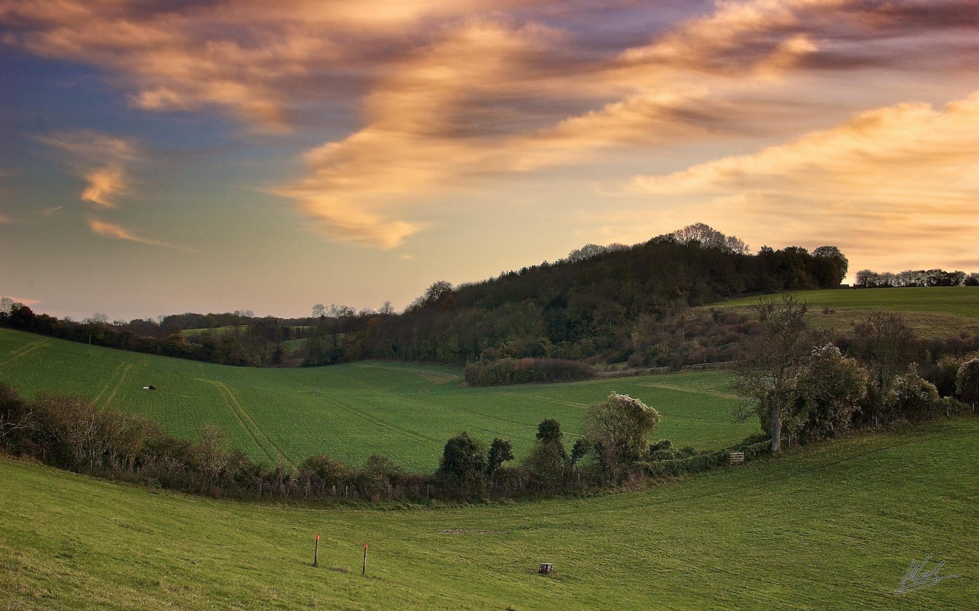 paisaje paisaje agricultura hierba campo al aire libre pastoral naturaleza árbol cielo tierra cultivada rural ovejas pastizales granja colina puesta de sol pasto viajes heno