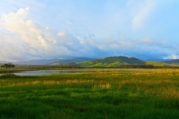 Paisaje llano de prados autonivelantes