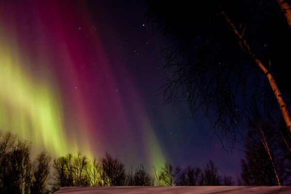 Aurora boreal en el cielo nocturno