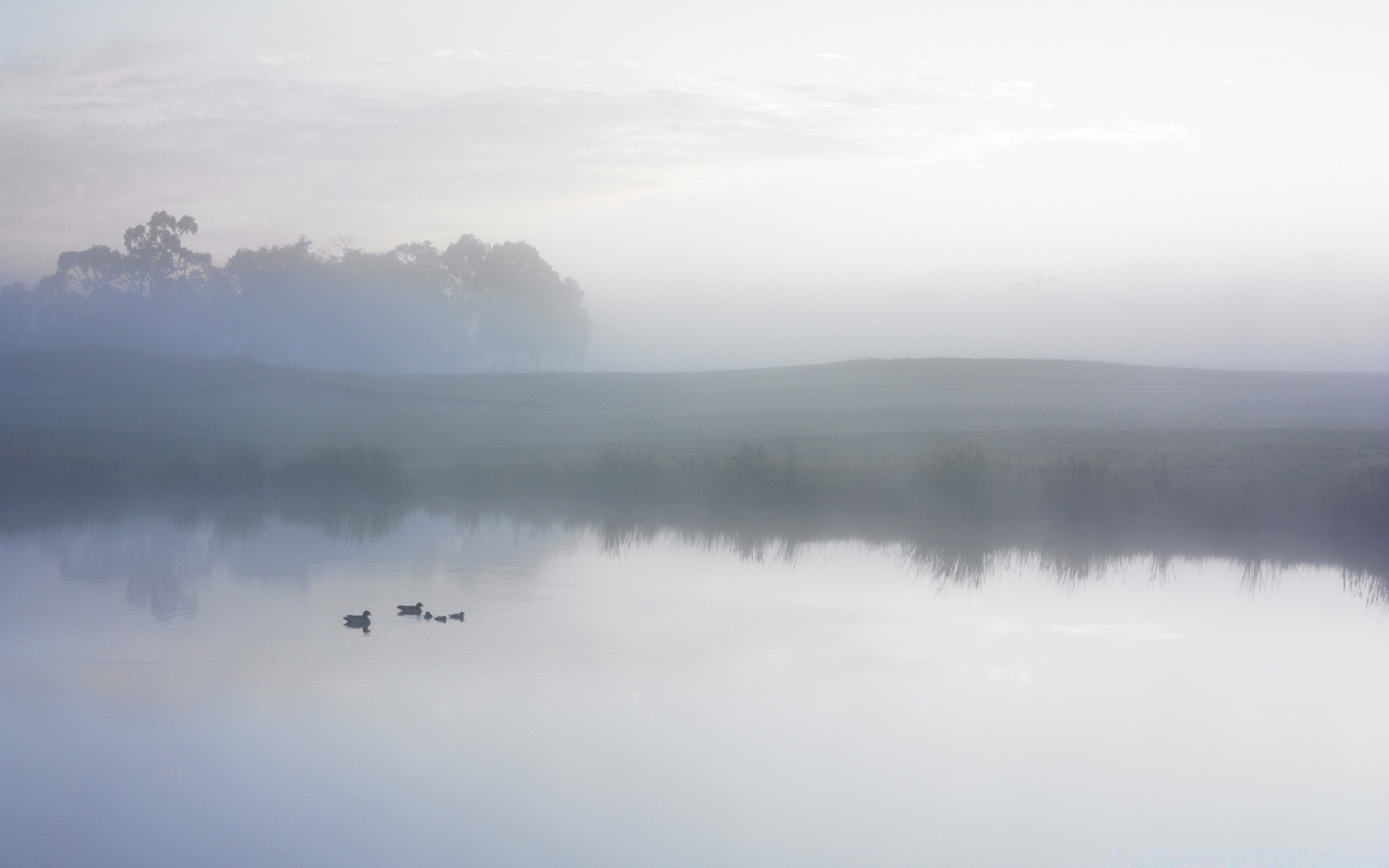 lago niebla niebla paisaje agua cielo naturaleza amanecer humo al aire libre viajes