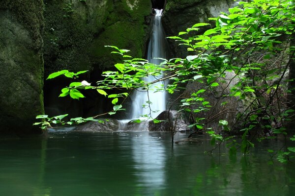 Pequeña cascada junto al lago del bosque