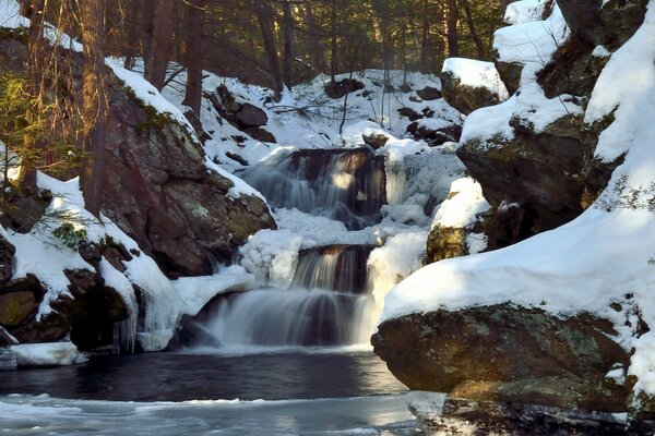 Hermosa cascada en el bosque de invierno