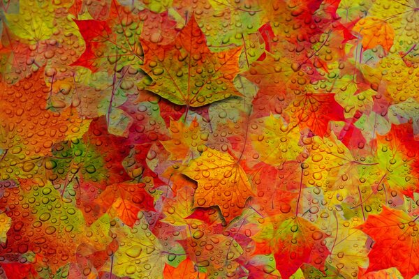 Superficie pintada con hojas de otoño en gotas de agua