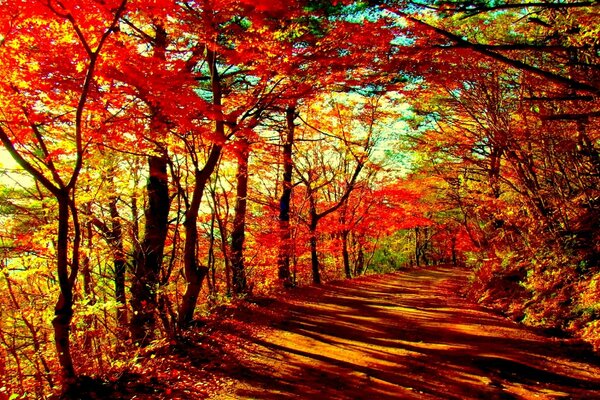 El rincón de otoño del tiempo que pasa