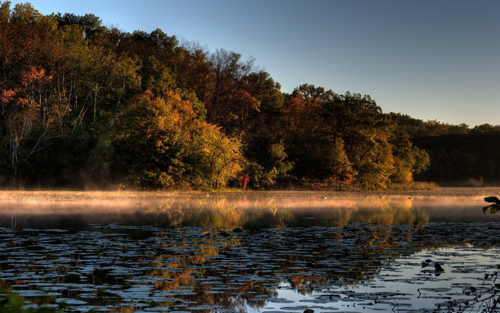 otoño agua paisaje árbol otoño naturaleza amanecer lago puesta de sol río al aire libre reflexión madera cielo noche