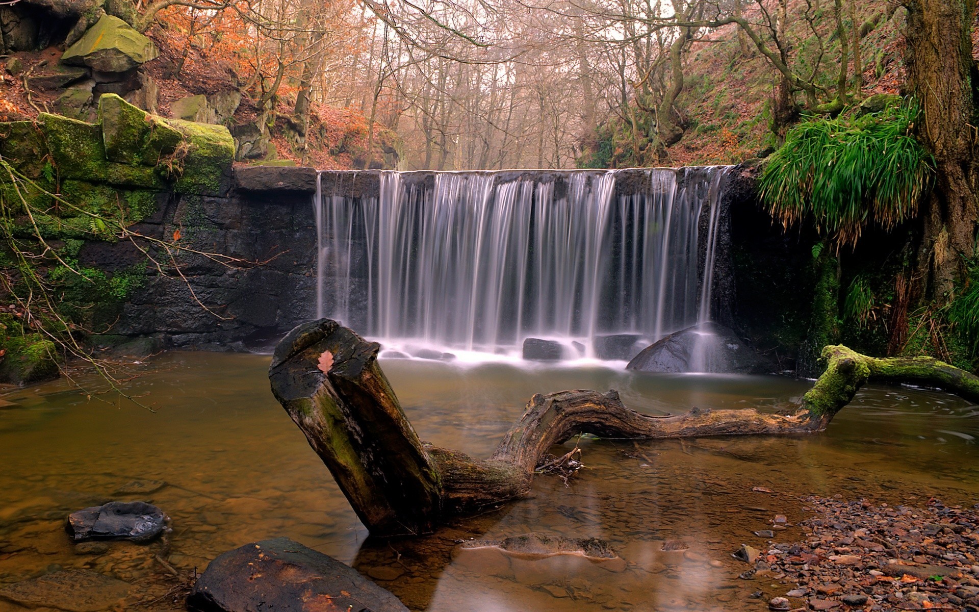 otoño agua cascada río corriente otoño roca movimiento árbol naturaleza al aire libre paisaje cascada creek madera viajes hoja corriente medio ambiente parque