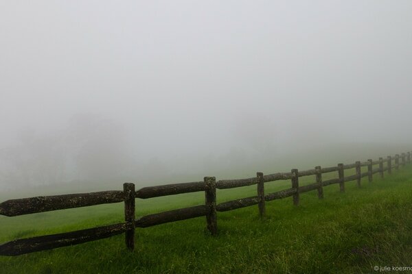Valla de madera con hierba verde en la niebla