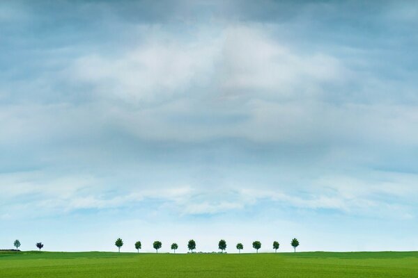 Árboles en el horizonte con un cielo nublado