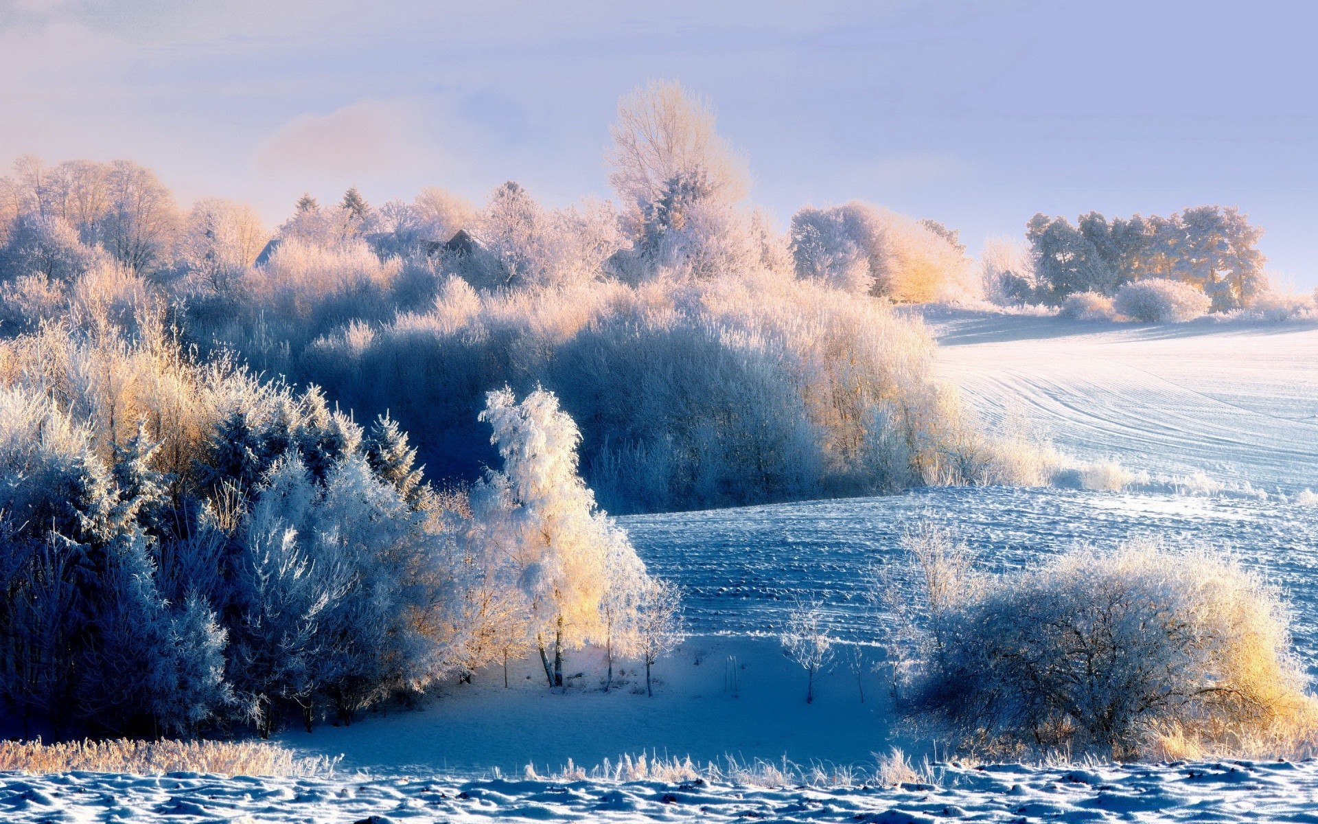 invierno nieve paisaje escarcha congelado naturaleza frío tiempo temporada hielo madera escénico árbol buen tiempo al aire libre cielo agua amanecer niebla