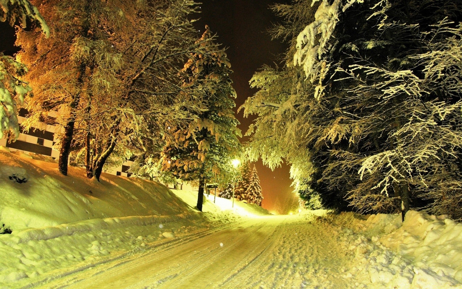 invierno naturaleza árbol viajes madera luz al aire libre paisaje hoja carretera otoño