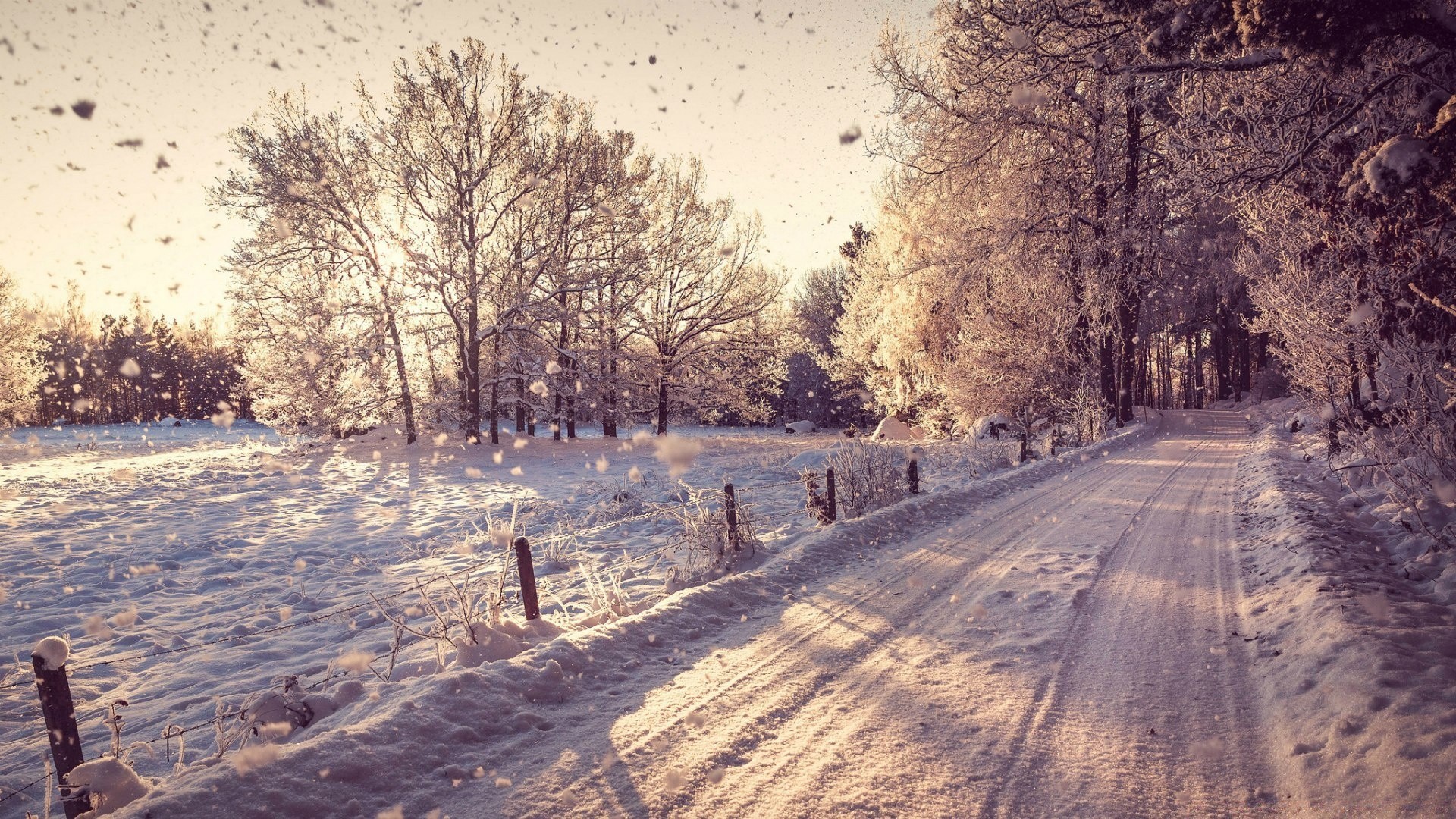 invierno nieve árbol paisaje madera escarcha congelado naturaleza temporada frío carretera hielo parque guía tiempo al aire libre escénico niebla