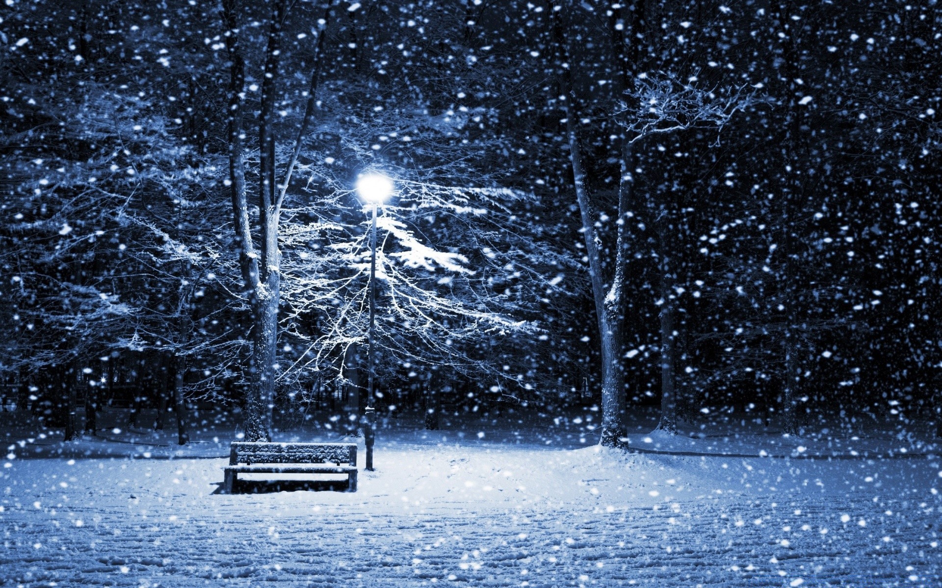 invierno nieve naturaleza frío temporada árbol congelado escarcha al aire libre hielo tiempo agua