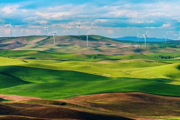 Hermoso paisaje con molinos de viento