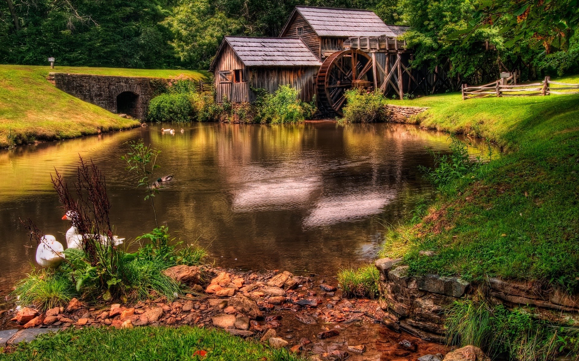 paisaje agua madera naturaleza río al aire libre paisaje hierba puente árbol rural viajes otoño lago hoja campo piscina verano rústico escénico