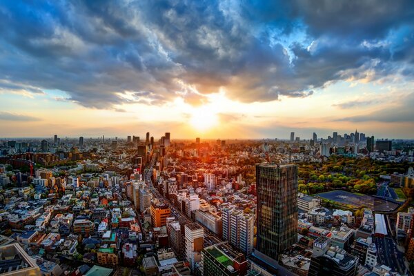 Paisaje urbano a vista de pájaro