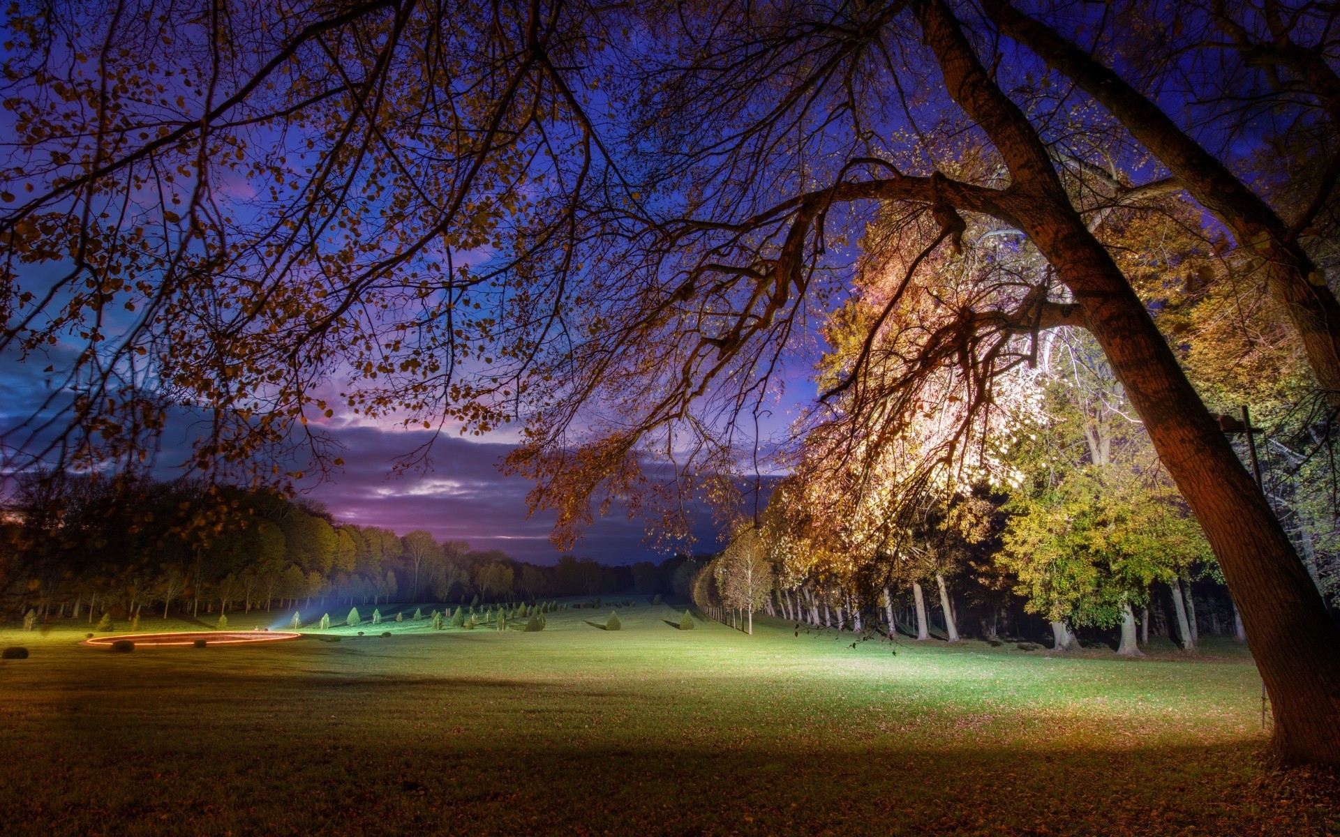 europa árbol paisaje otoño parque naturaleza amanecer madera luz escénico hoja al aire libre rama temporada buen tiempo noche sol